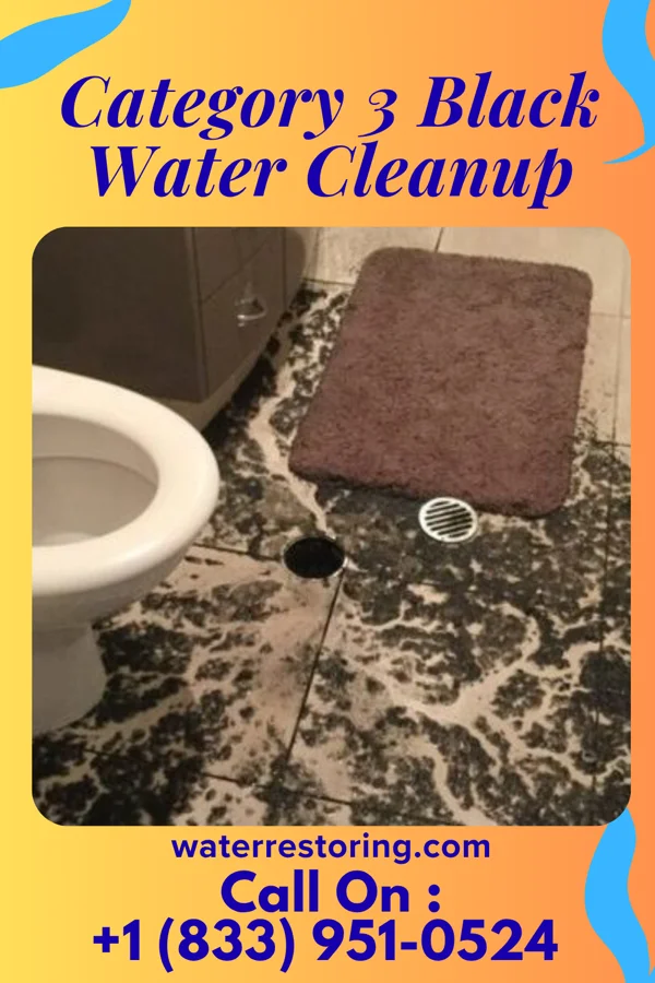 Category 3 Black Water Cleanup in Alexandria, KY