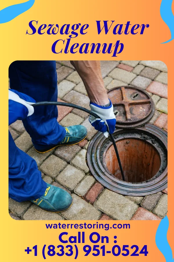 Sewage Water Cleanup in Alexandria, KY