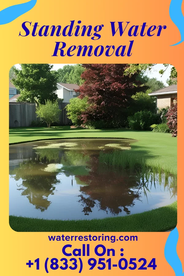 Standing Water Removal in Alexandria, KY